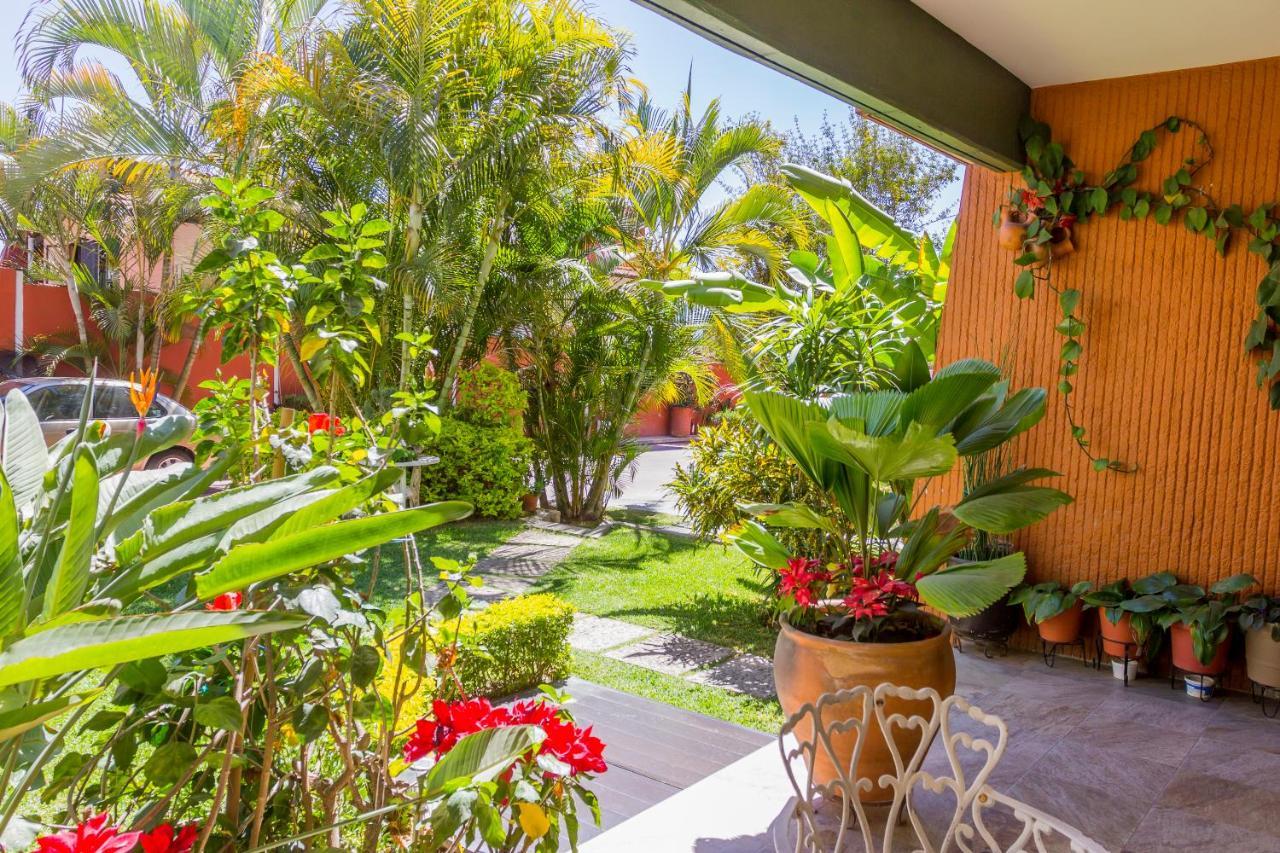 Casa De Las Palmas Guest House Oaxaca Buitenkant foto