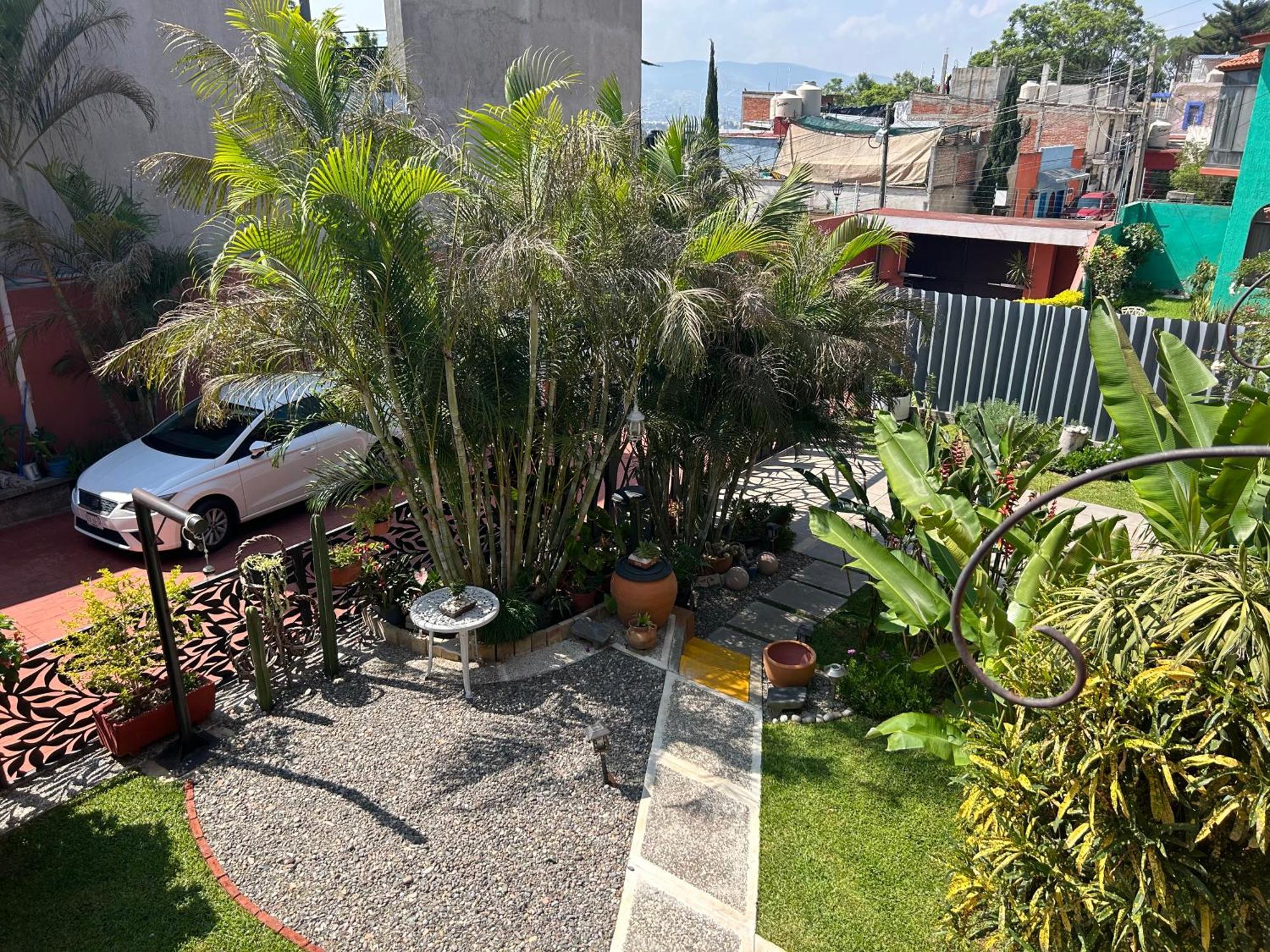 Casa De Las Palmas Guest House Oaxaca Buitenkant foto